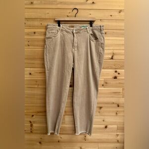 Pilcro Straight Leg Pants in Light Taupe